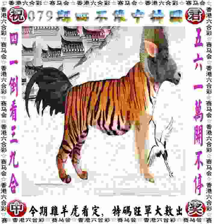 没有裁判胜负选手自己认定 业余网球赛在合肥诚信收拍